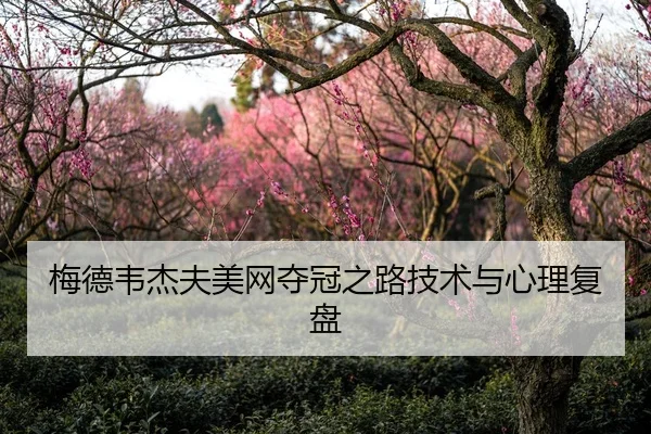 梅德韦杰夫美网夺冠之路技术与心理复盘